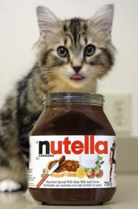 Cat with Nutella